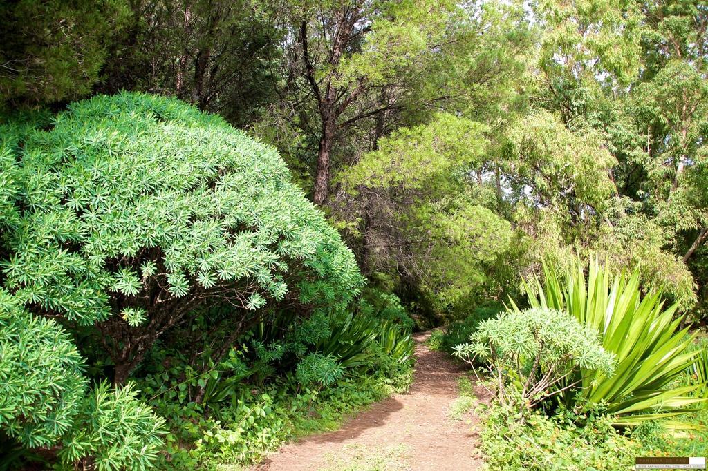Farinha De Pau - Eco B&B Tarrafal  Dış mekan fotoğraf